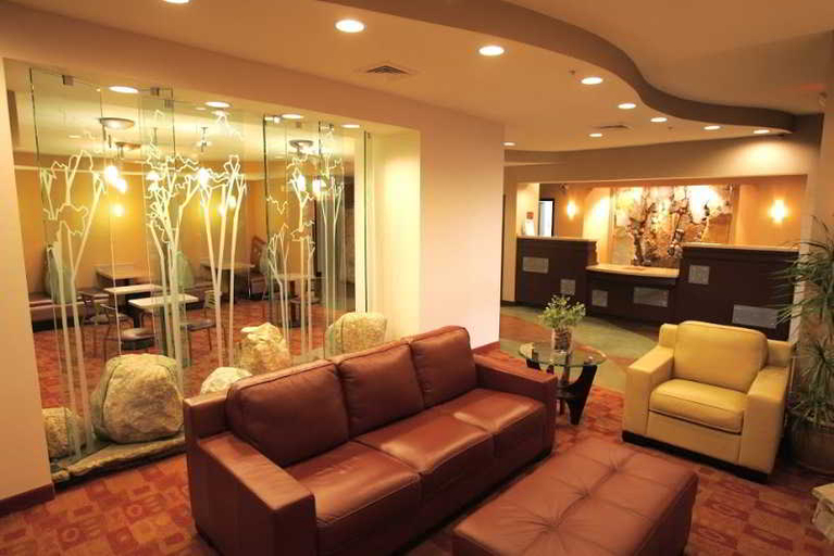 Public Area 2, Comfort Suites Perrysburg - Toledo South, Wood