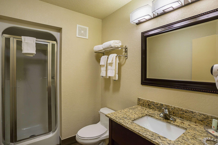 Bathroom 5, Clarion Inn & Suites Evansville, Vanderburgh