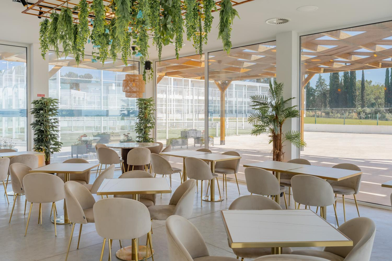Others 5, Serpa Hotel, Serpa