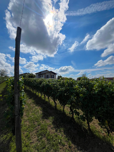 Others 2, Il Girasole Apartments - Langhe, Cuneo