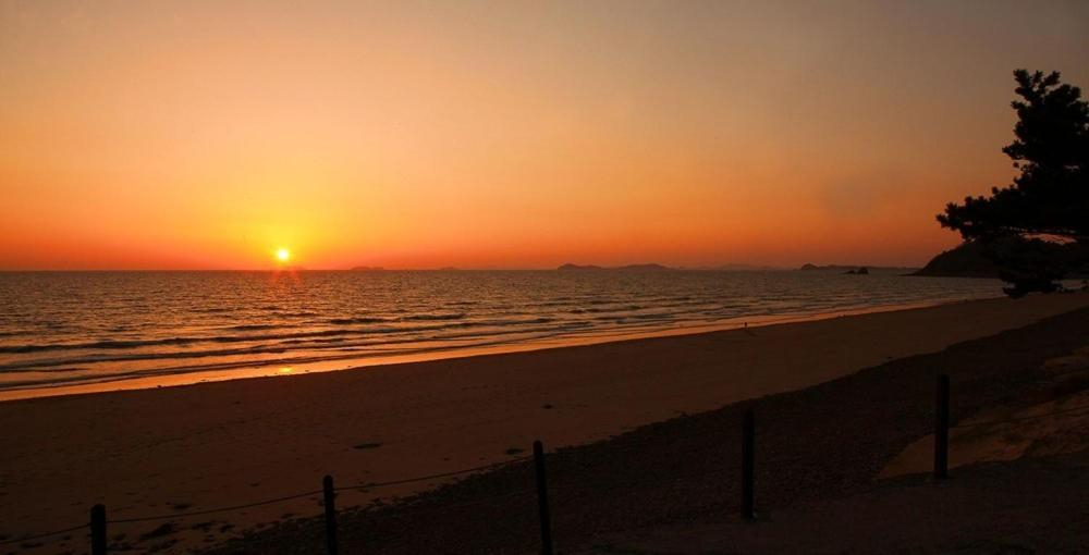 Others 4, Taean Marimo Pension, Taean