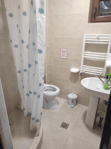 Bathroom 3, Casa Reginei, Cartisoara