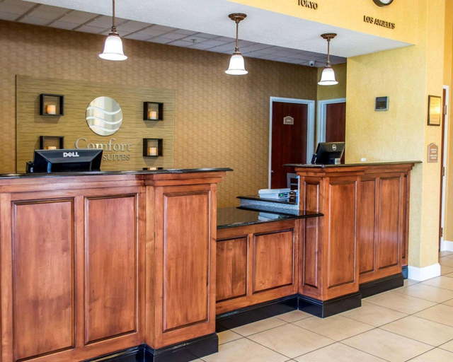 Public Area 2, Comfort Inn & Suites Franklin East, Simpson