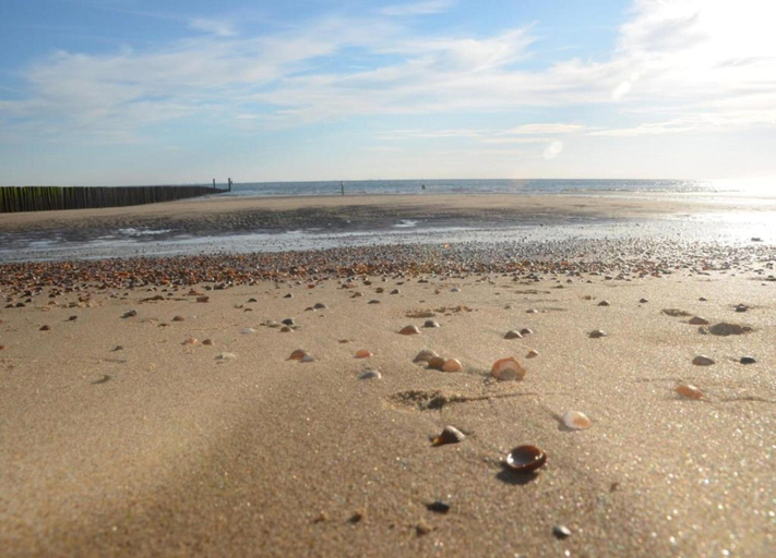View from property 5, Relax in Coastal Luxury, Veere