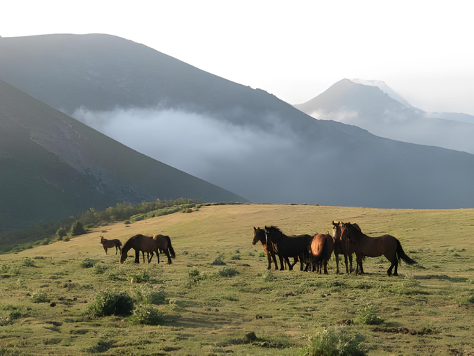 View 4, La Posta Del Camv N Real, Asturias