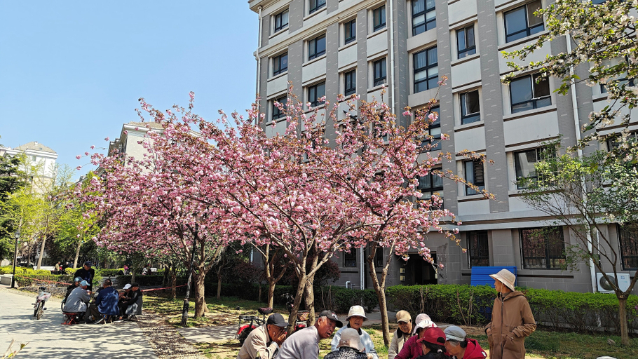 Exterior & Views 2, Mommy's home with breadfast and more, Qingdao