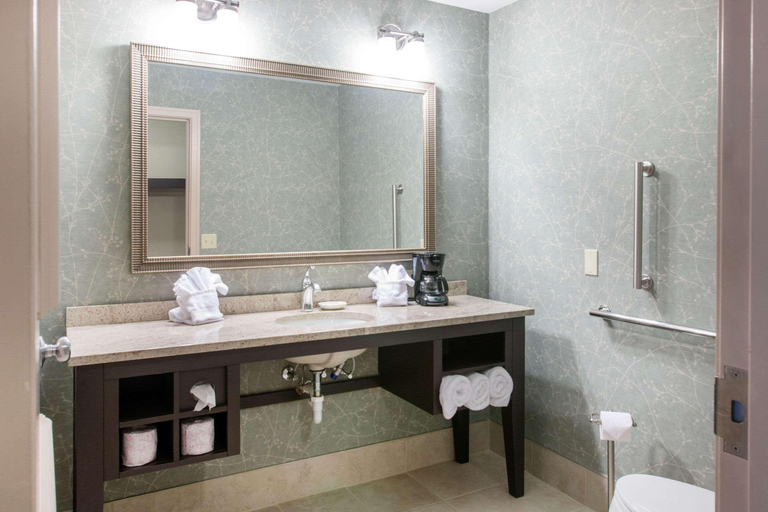 Bathroom 4, Comfort Inn Plainwell, Allegan