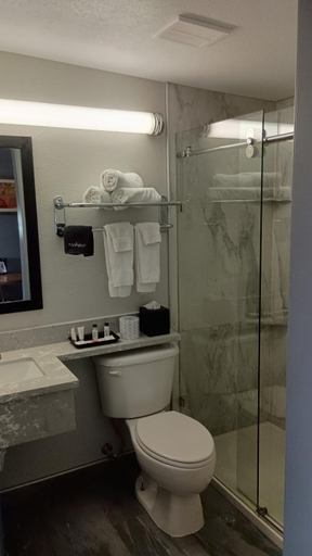 Bathroom 5, Econo Inn, Washakie