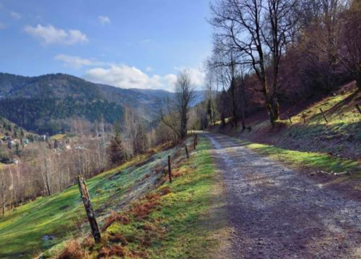 View from property 4, 2 Chalets for 4 People, Vosges