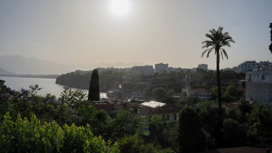 Others