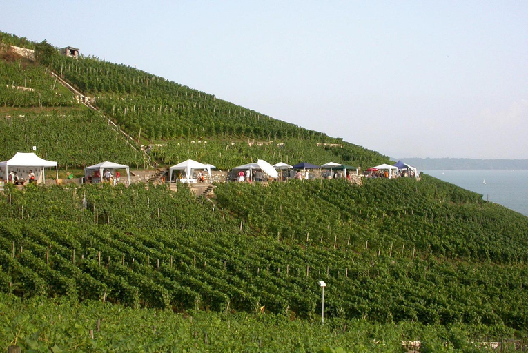 Scenery 1