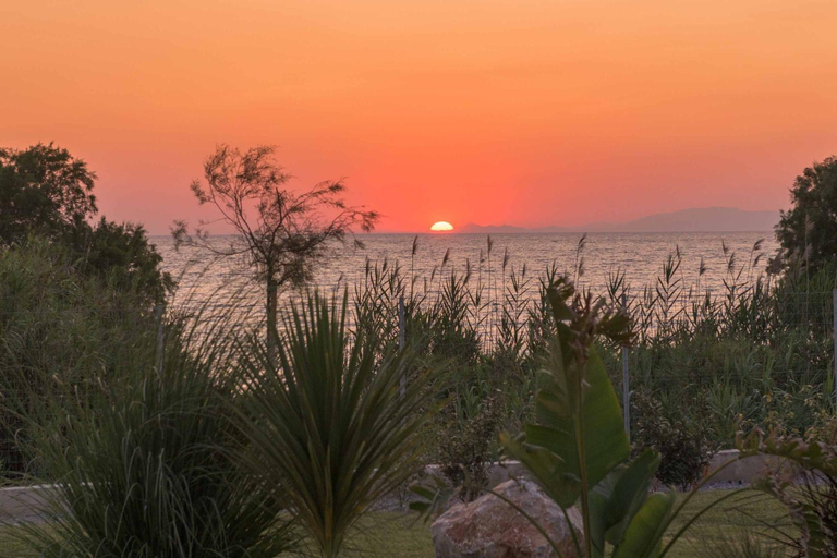 Others, Villa Panaxia Kohille, South Aegean