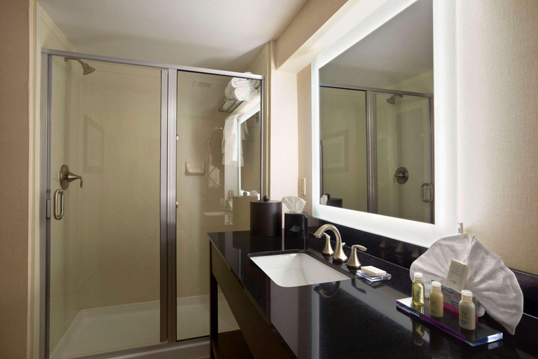 Bathroom 4, Wingate By Wyndham Seminole, Gaines