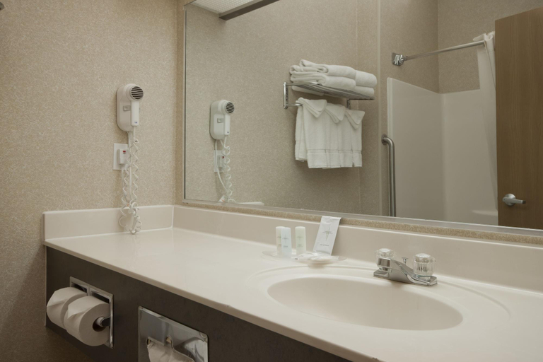 Bathroom 4, Comfort Suites Peoria I-74, Peoria