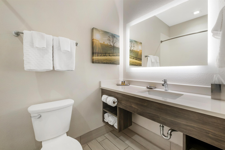 Bathroom 3, B/W Plus Elizabethtown Inn & Suites, Hardin