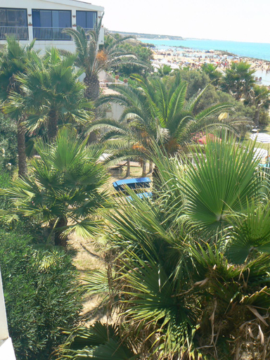 Exterior & Views 1, Hotel Sul Mare Al Gabbiano, Ragusa