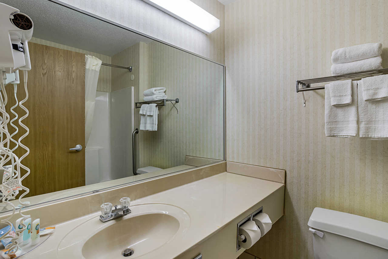 Bathroom 4, Econo Lodge Luverne Area, Rock