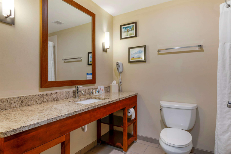 Bathroom 4, Comfort Suites Kingsport, Sullivan