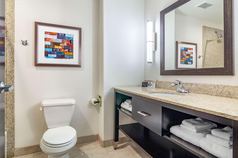 Bathroom 4, Comfort Inn Suites Denver Northeast Brighton, Adams