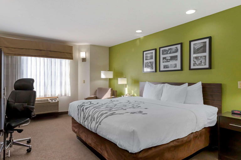 Bedroom 3, Sleep Inn Ontario, Malheur