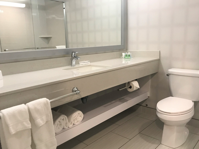 Bathroom 4, Birchwood Inn, BW Premier Collection, Division No. 11