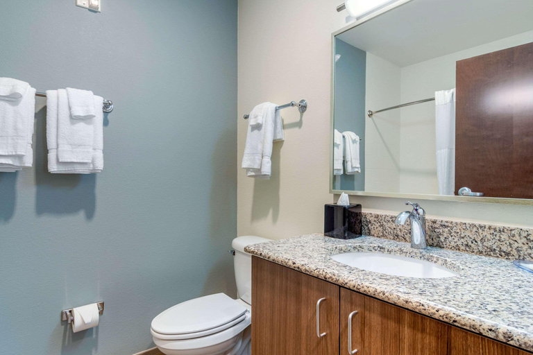 Bathroom 5, Mainstay Suites Newnan, Coweta