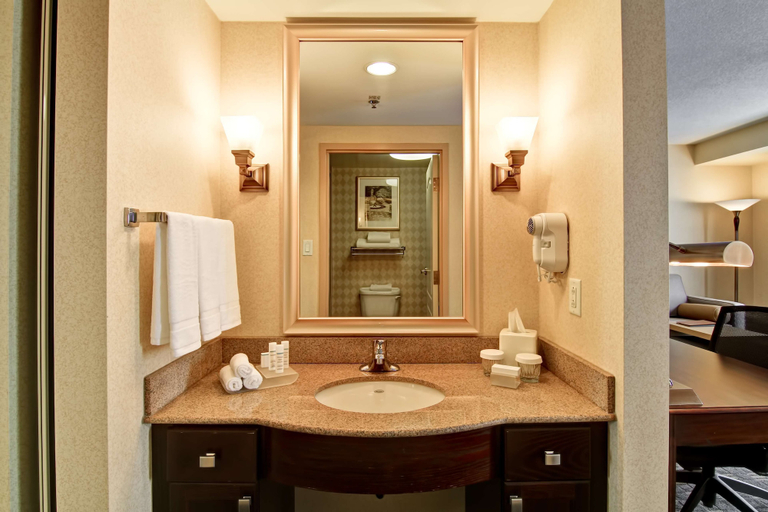 Bathroom 4, Homewood Suites by Hilton Toronto Mississauga, Peel