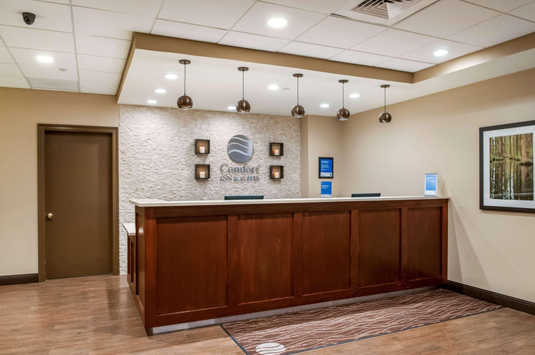 Public Area 3, Comfort Inn & Suites At Copeland Tower, Jefferson