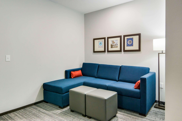 Public Area 3, Comfort Suites DeSoto Dallas South, Dallas