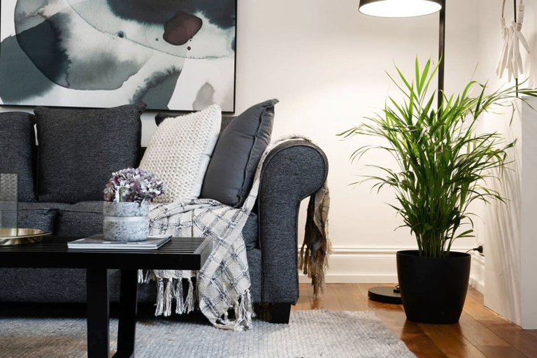 Room 4, Perfect Laneway Terrace Surry Hills, Sydney