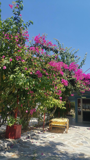 Others 4, Villa Mimika, Ionian Islands