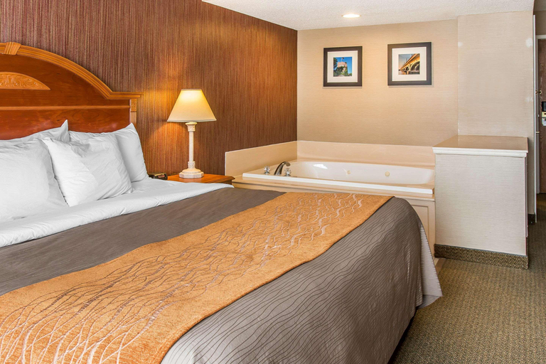 Bedroom 3, Hampton Inn by Hilton Chelsea, Washtenaw