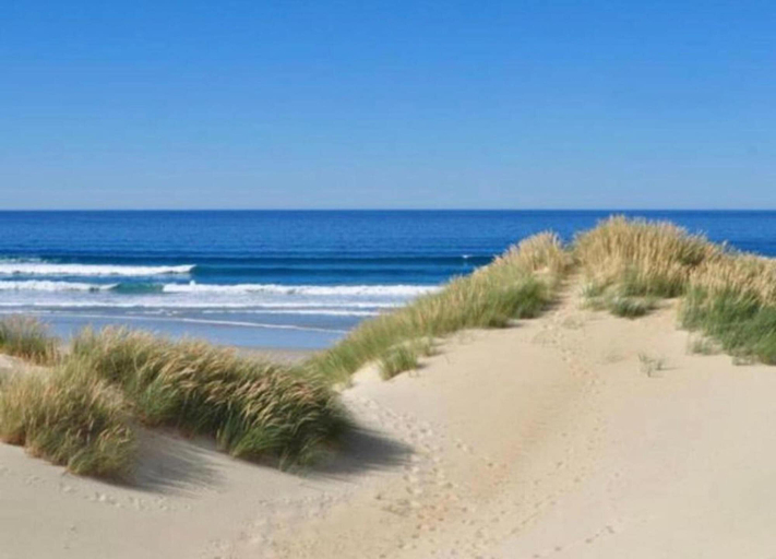 View from property 4, Sunny Escape by the Shore, West-Vlaanderen