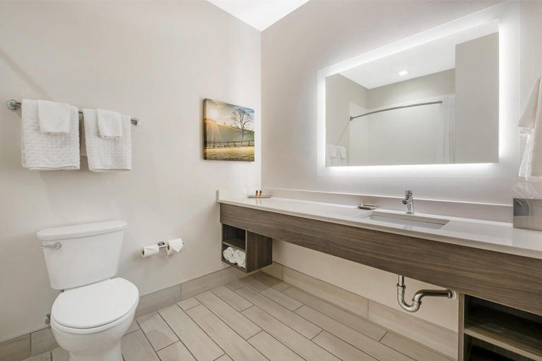 Bathroom 3, B/W Plus Elizabethtown Inn & Suites, Hardin