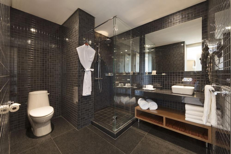 Bathroom 2, Capitalia San Angel Inn, Mexico City