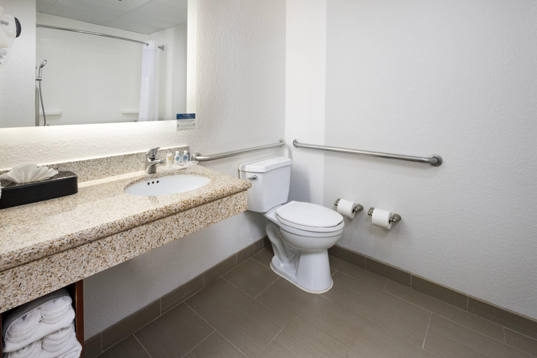 Bathroom 4, Comfort Suites Outlet Center, Buncombe