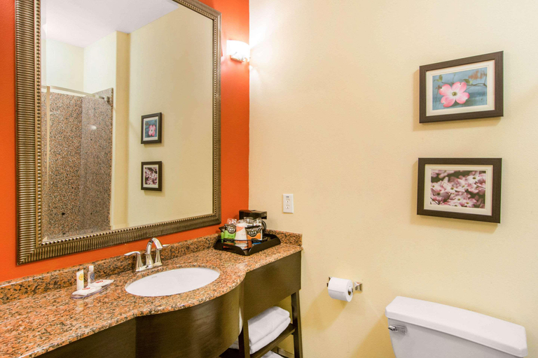 Bathroom 4, Comfort Inn & Suites Villa Rica, Carroll
