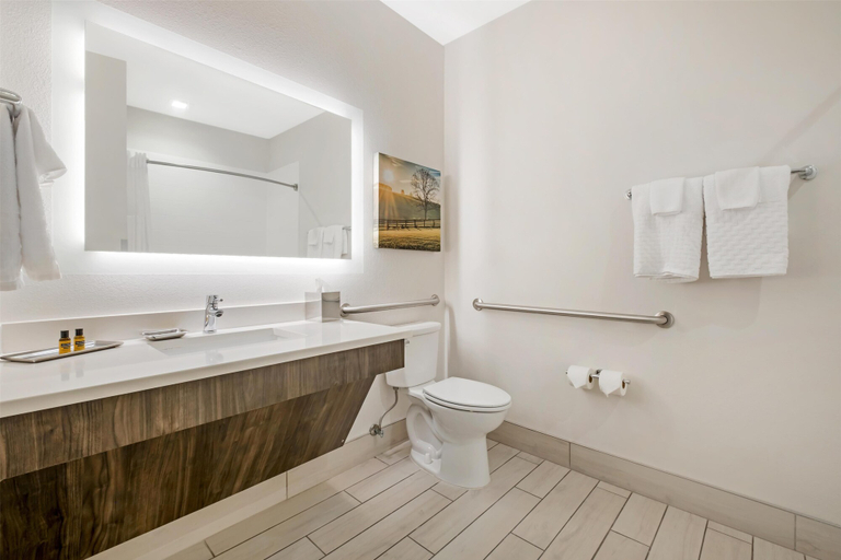 Bathroom 3, B/W Plus Elizabethtown Inn & Suites, Hardin