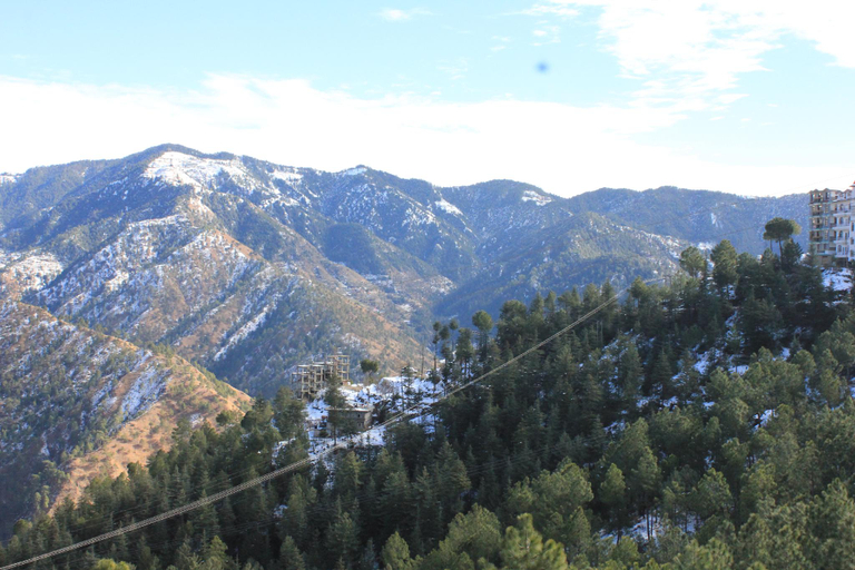 Others 4, Silverpine Apartment & Homestay, Shimla