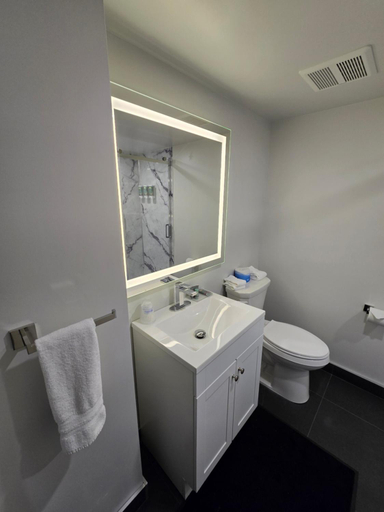 Bathroom 4, Best Western Hotel Brossard, Champlain