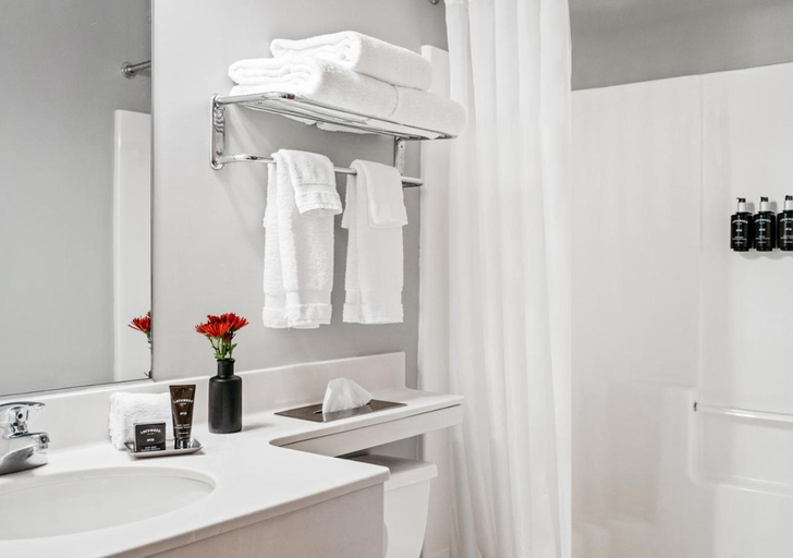 Bathroom 4, Hotel One75, Madison