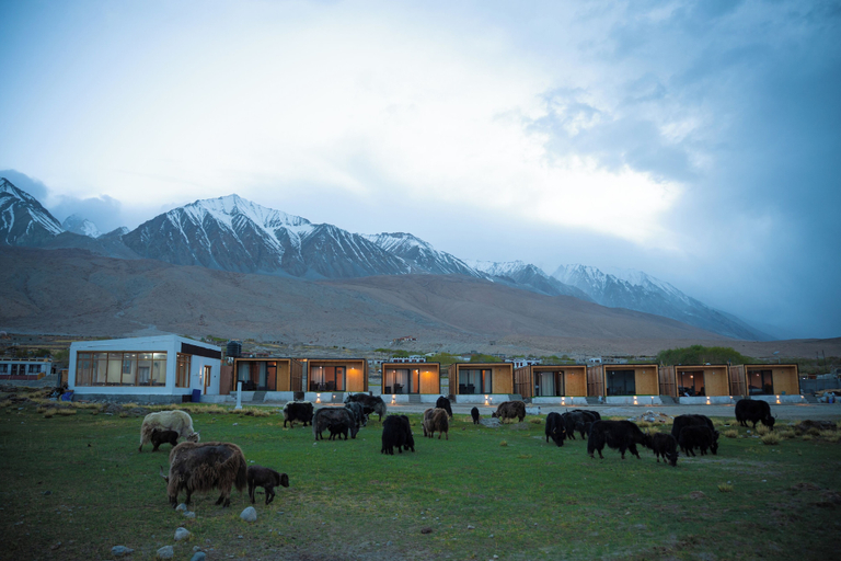 Others 1, Saser Scenic Pangong, Leh