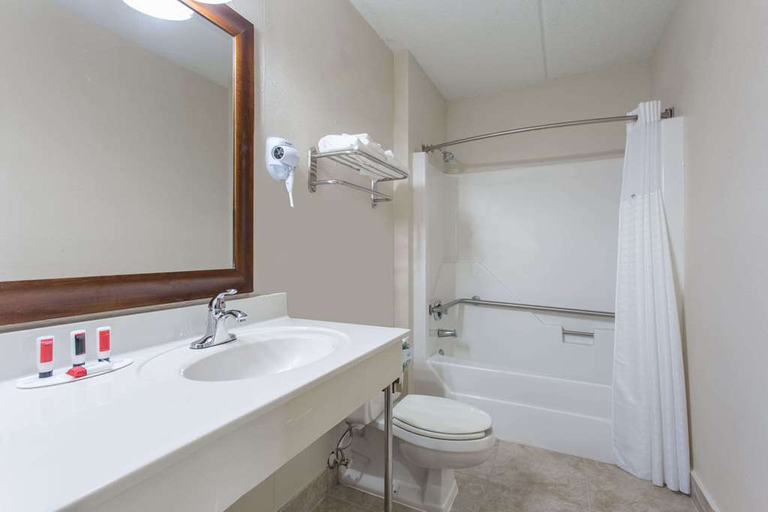 Bathroom 4, Econo Lodge Forest City, Rutherford
