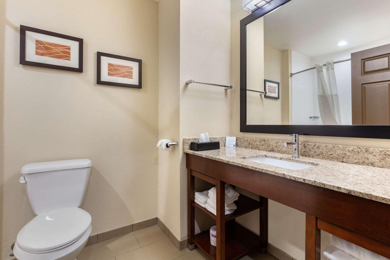 Bathroom 4, Comfort Inn US Hwy 80, Marengo