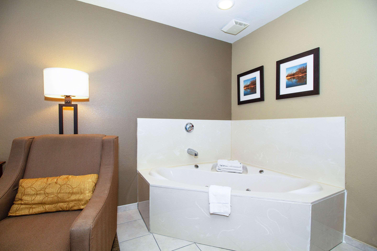 Bathroom, Comfort Inn & Suites Quad Cities - East Moline, Rock Island