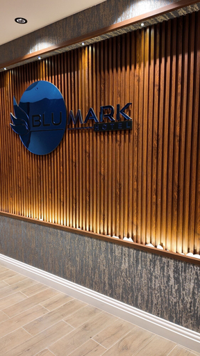 Exterior & Views 2, Blu Mark Otel, Merkez