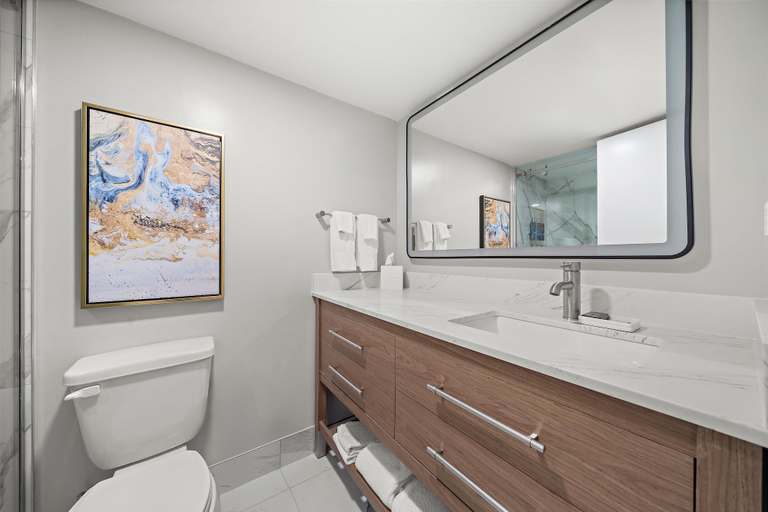 Bathroom 5, Hilton College Station & Conference Center, Brazos