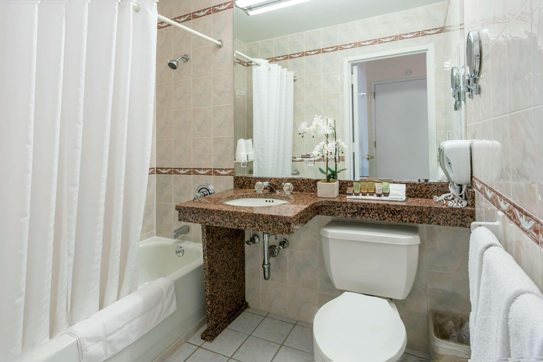 Bathroom 5, Chelsea Savoy Hotel, New York