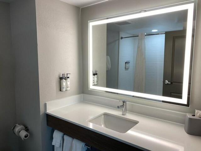 Bathroom, Holiday Inn Express Hotel & Suites Latham By IHG, Albany