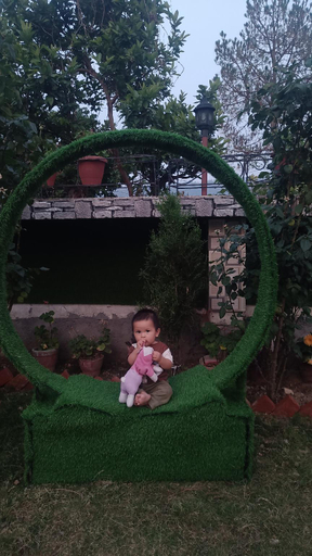 Others 4, Moonlit Haven, Almora